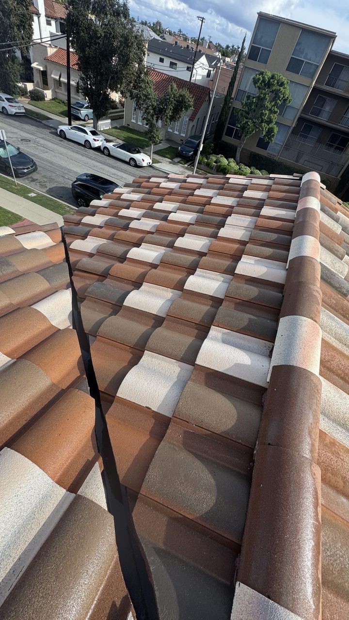 Tile roof after soft wash cleaning, terracotta color fully restored